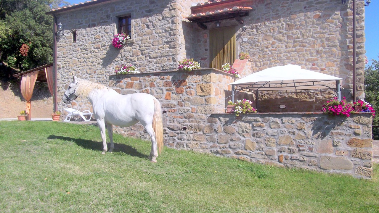 Photo of Outdoor in Bivio Lugnano