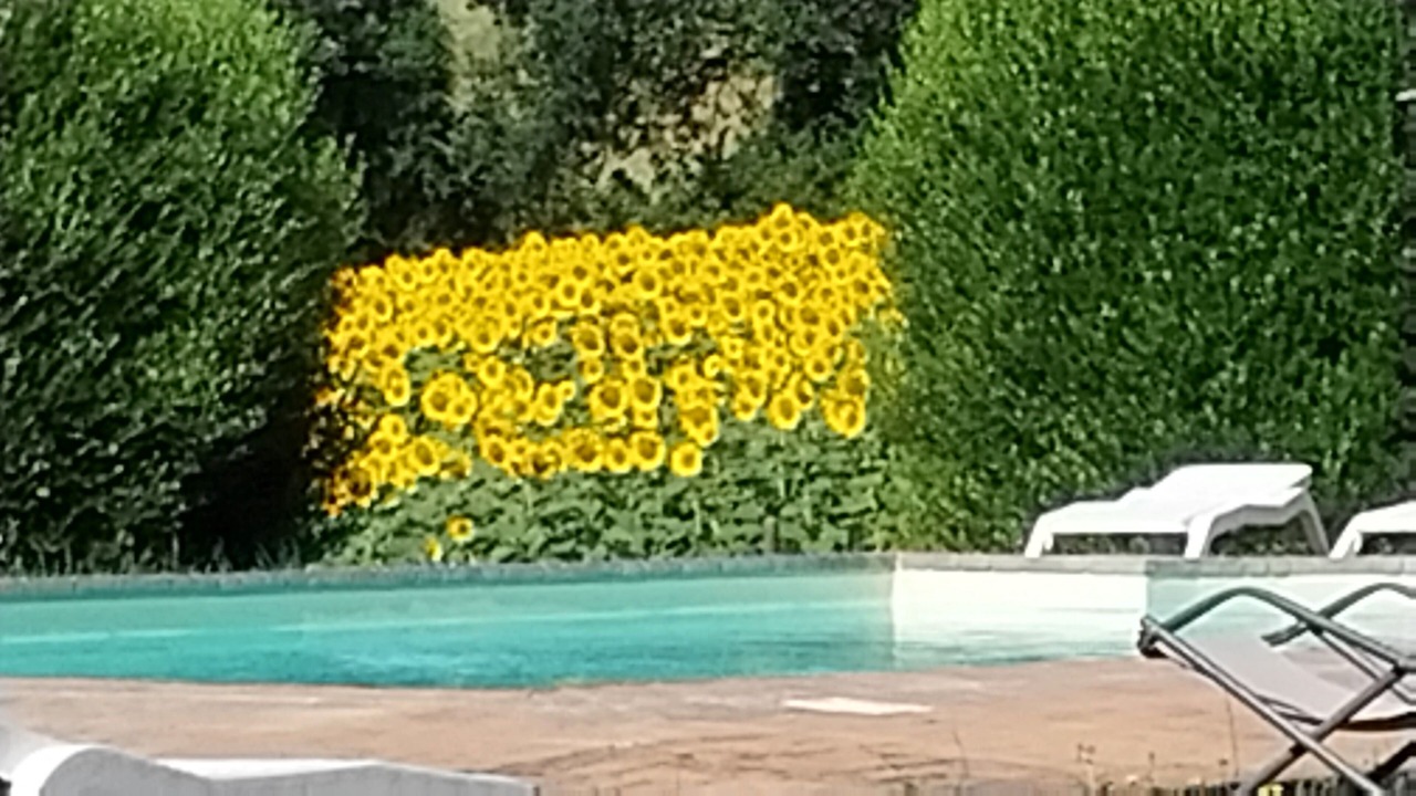 Photo of Outdoor in Todi