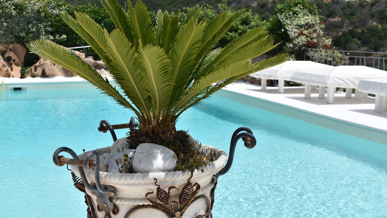 Photo of Outdoor in Abbiadori