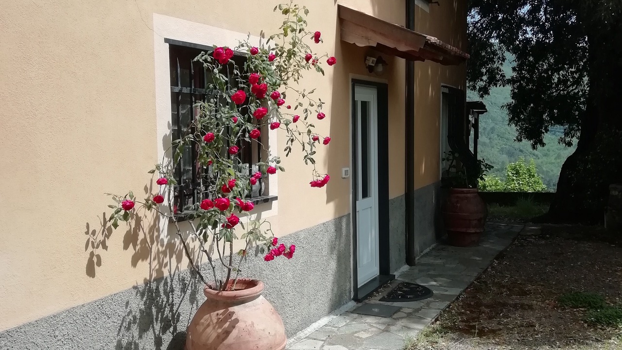 Photo of Outdoor in Velva