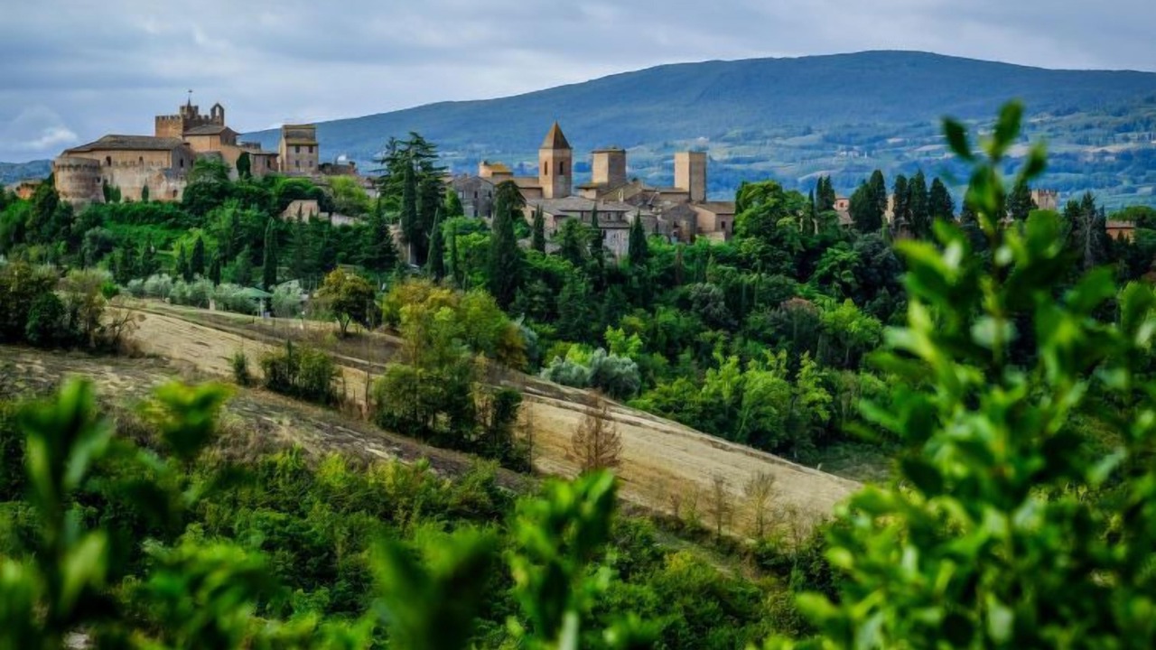Photo of Outdoor in Certaldo