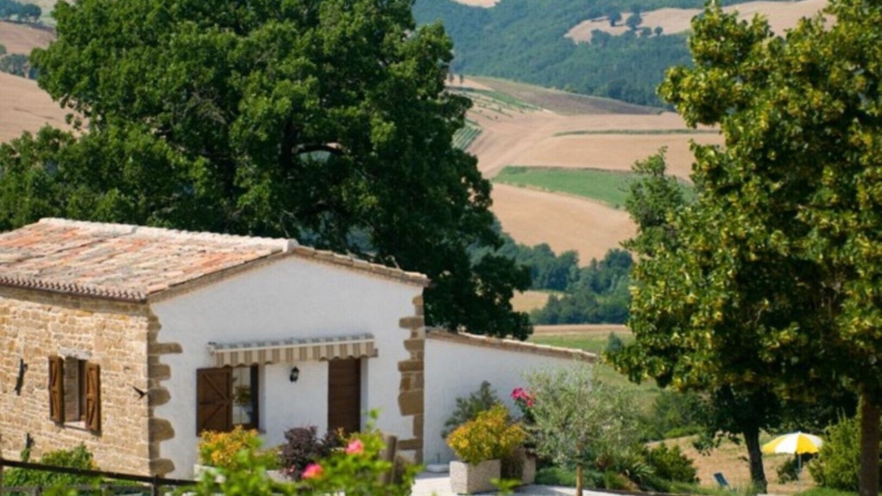 Photo of Outdoor in Pergola