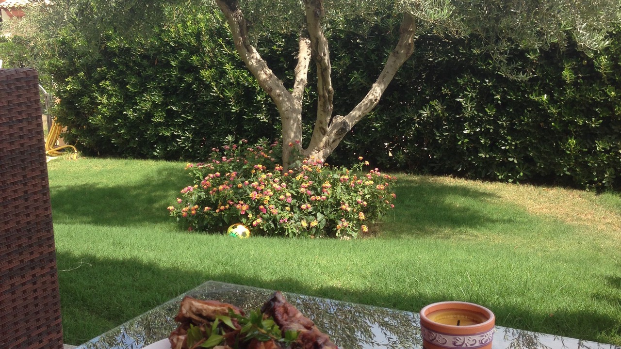 Photo of Outdoor in Tertenia