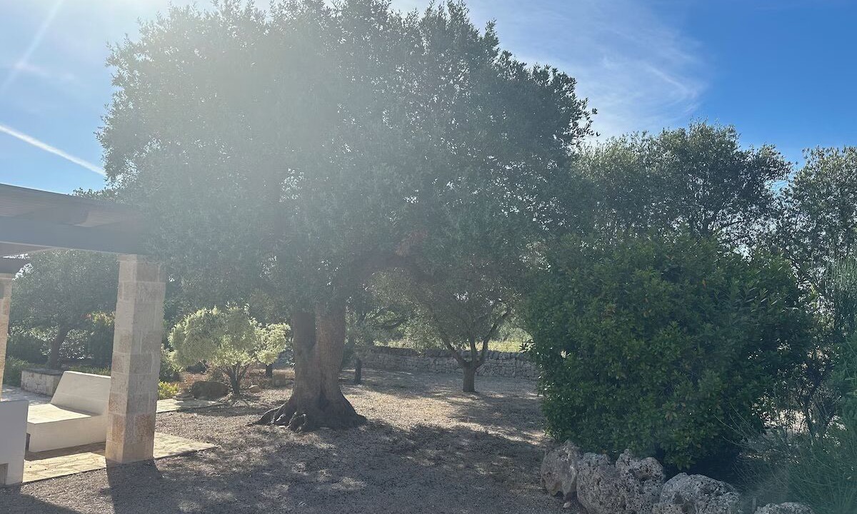 Photo of Outdoor in Locorotondo