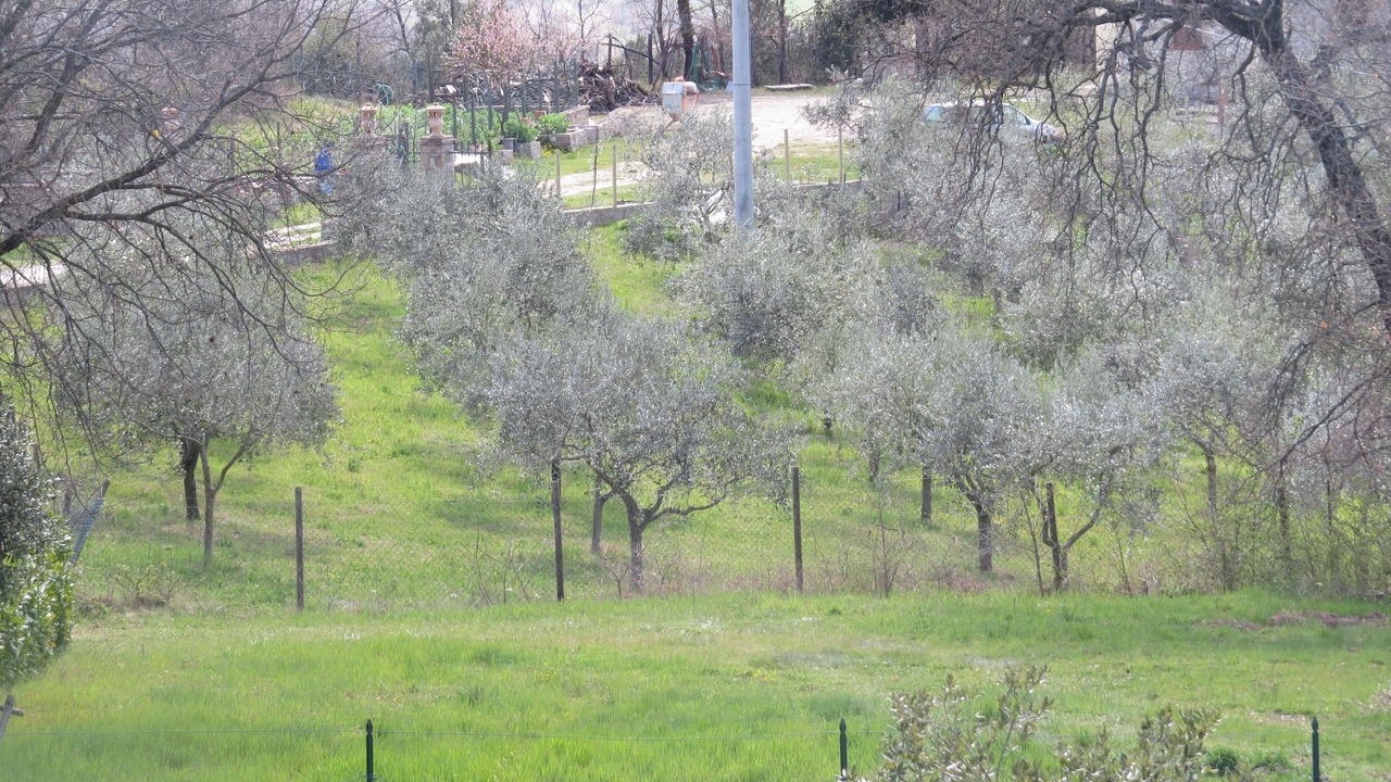 Photo of Outdoor in Gualdo Cattaneo