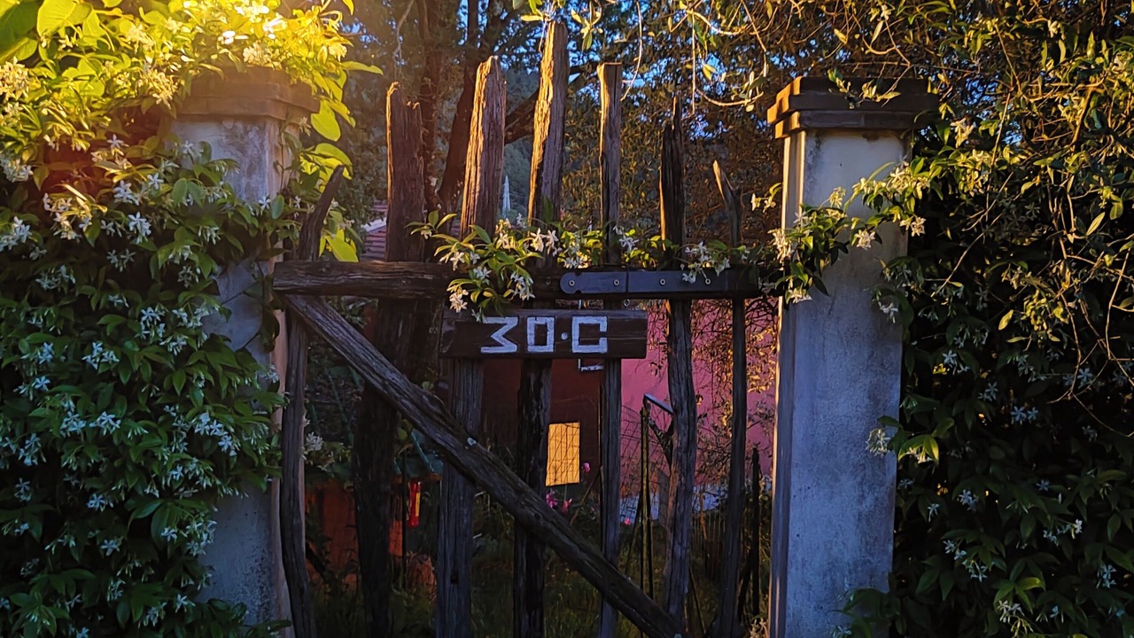 Photo of Outdoor in Arcola