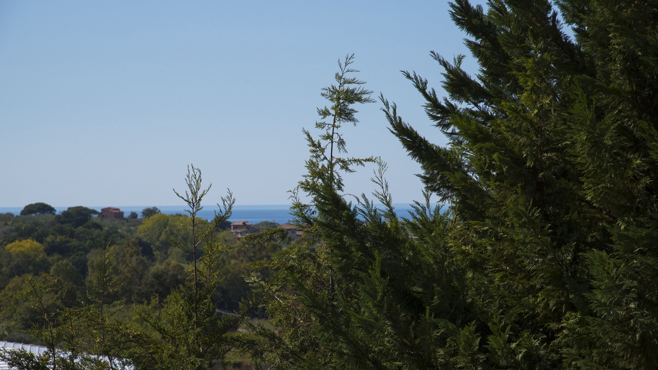 Photo of Outdoor in Alani
