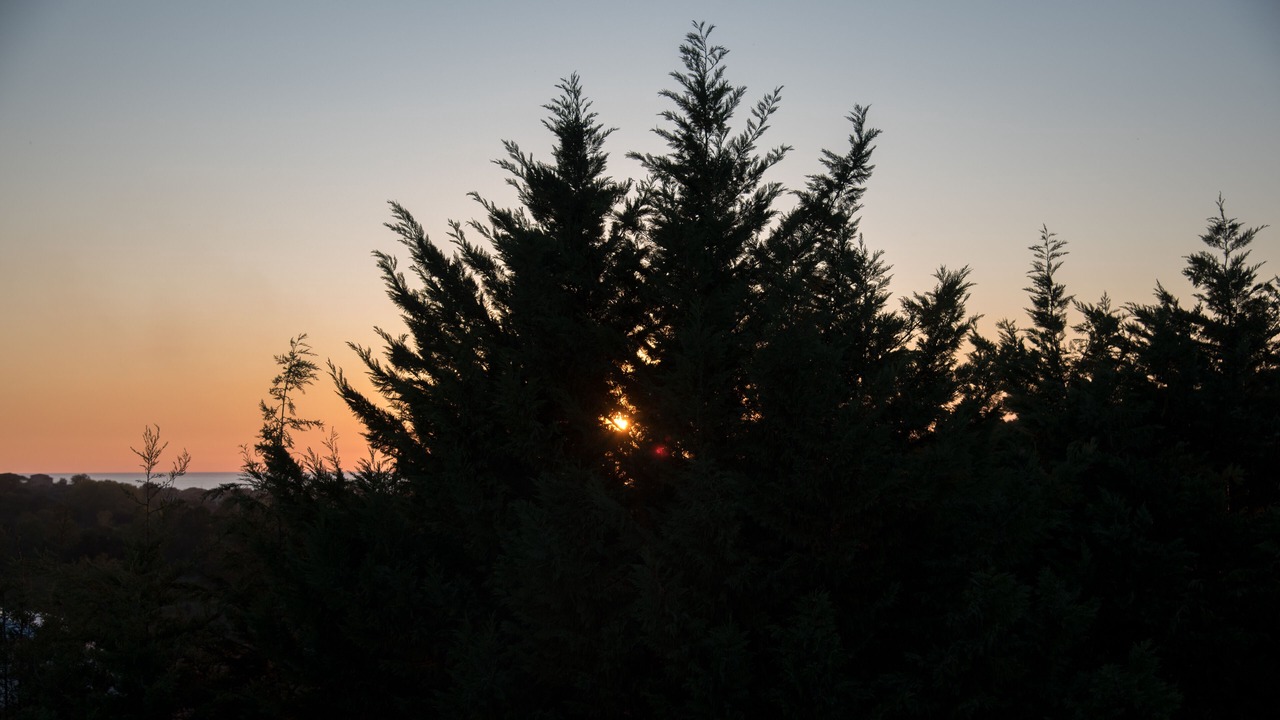 Photo of Outdoor in Alani