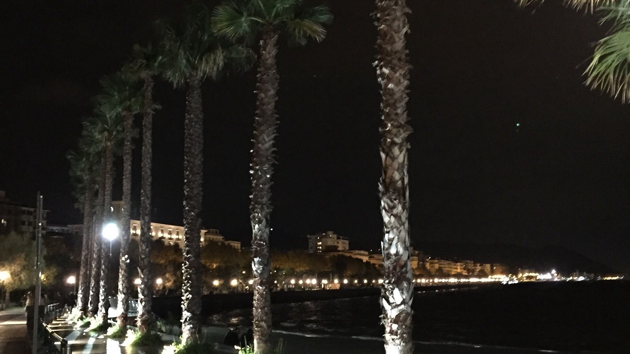 Photo of Others in Historical Downtown Salerno