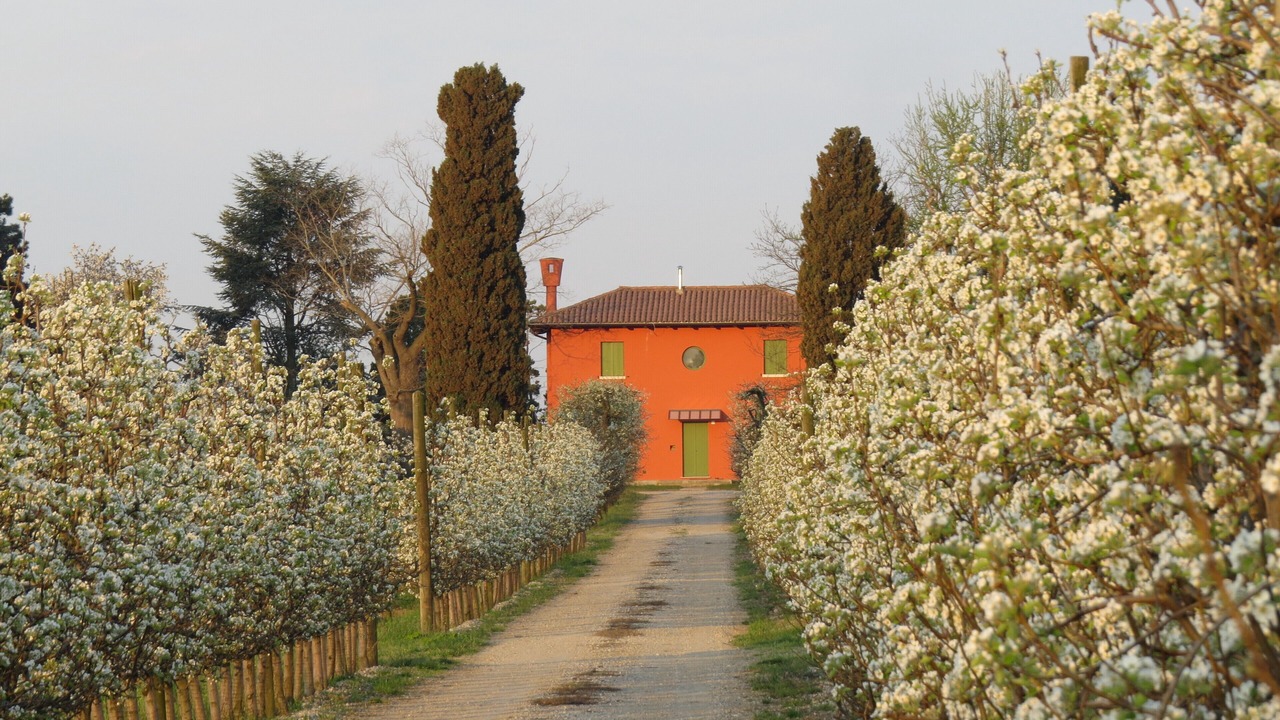 Photo of Outdoor in Terzo d'Aquileia