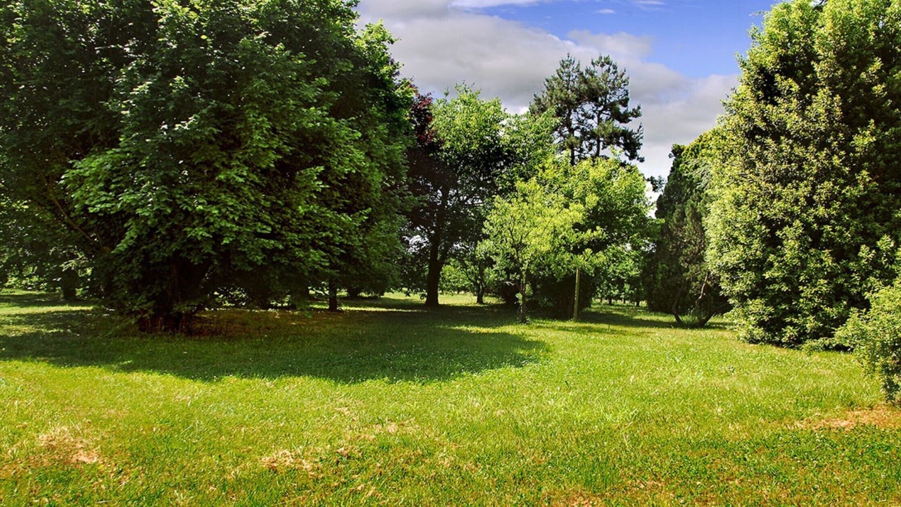 Photo of Outdoor in Terzo d'Aquileia