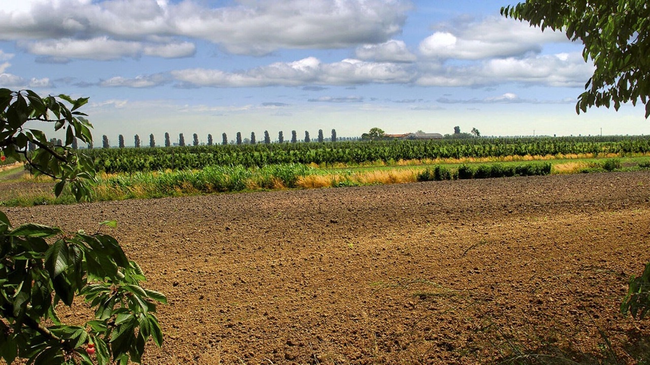 Photo of Outdoor in Terzo d'Aquileia