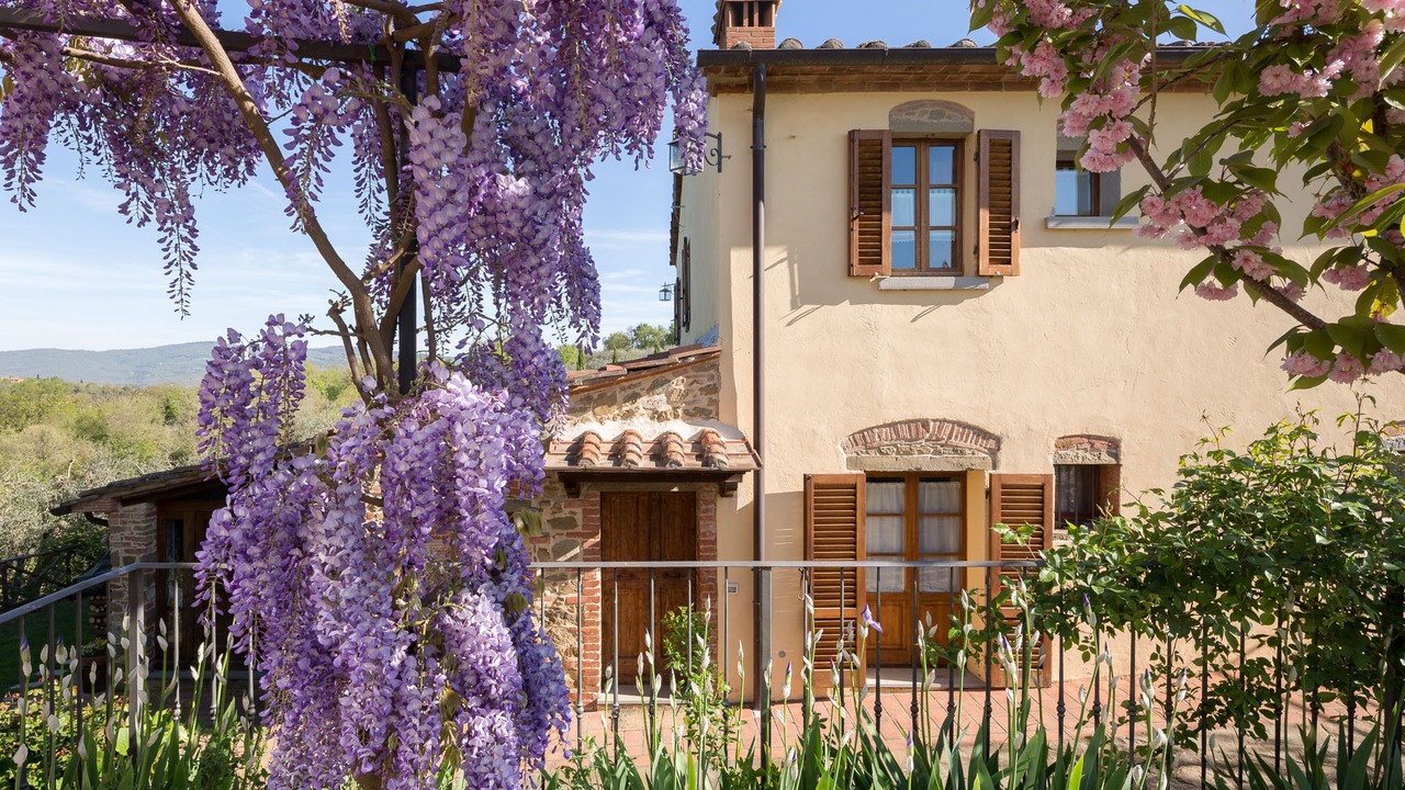 Photo of Outdoor in Monte San Savino