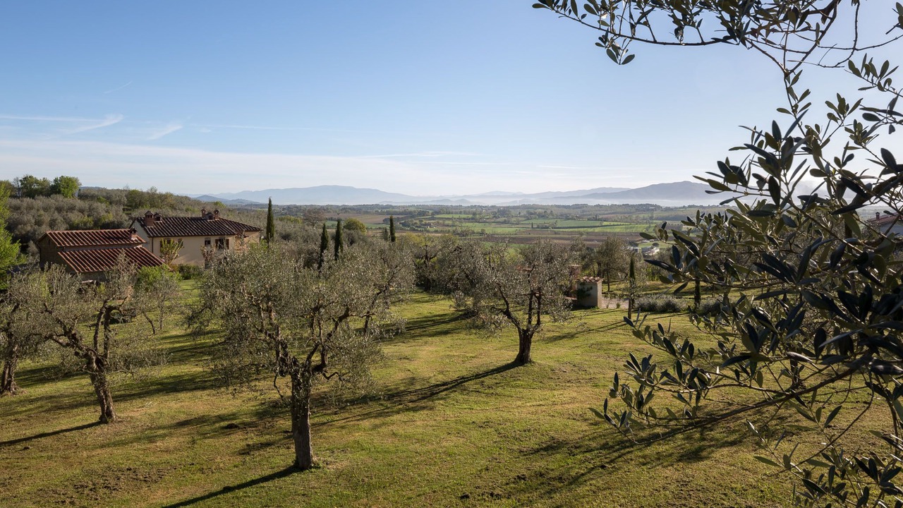 Photo of Outdoor in Monte San Savino