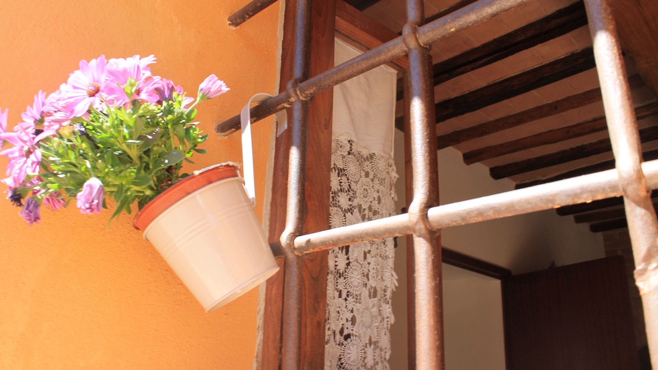 Photo of Outdoor in Siena