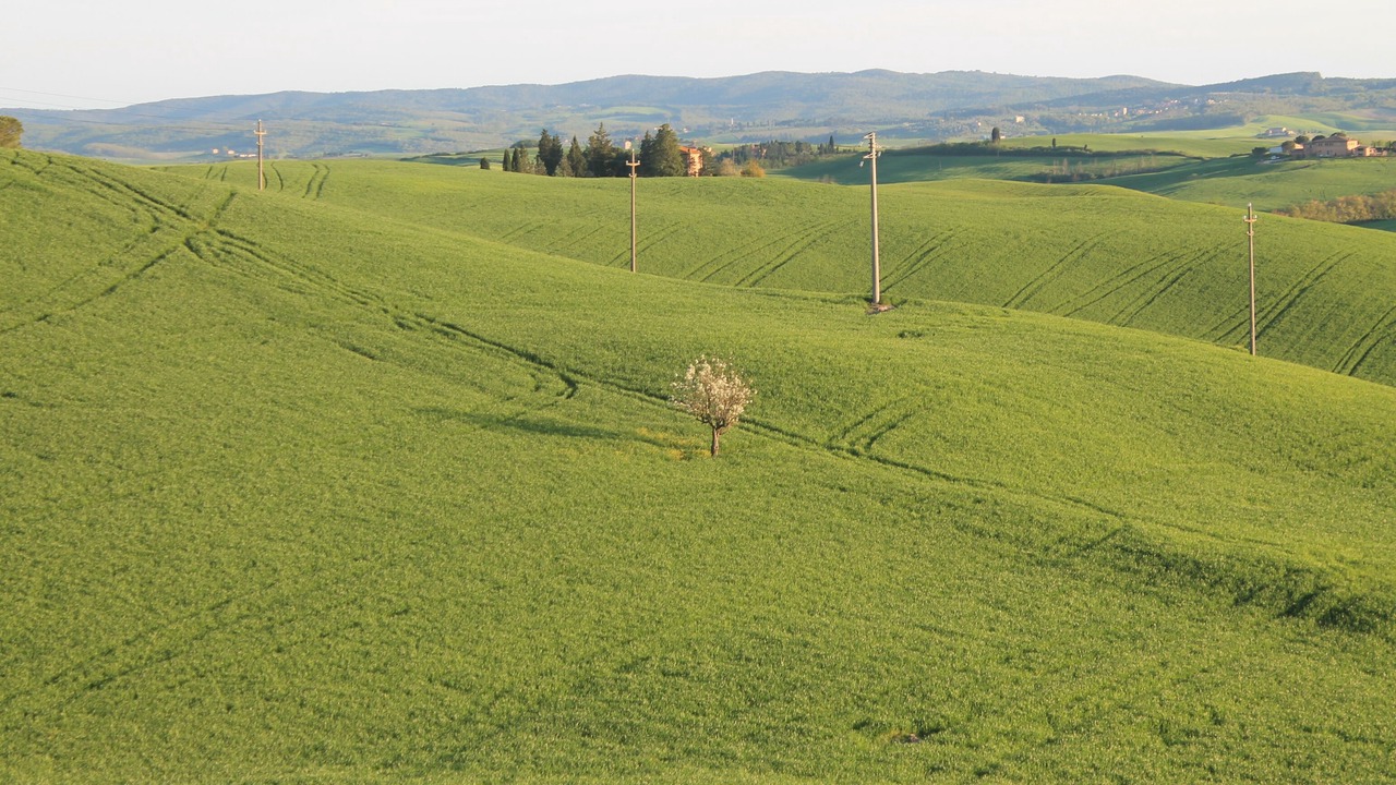 Photo of Others in Siena