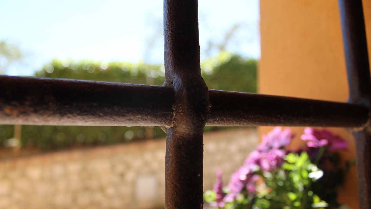 Photo of Outdoor in Siena