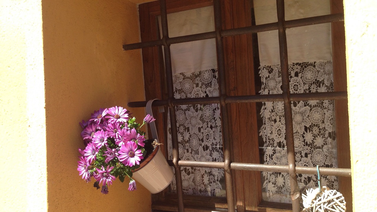 Photo of Outdoor in Siena