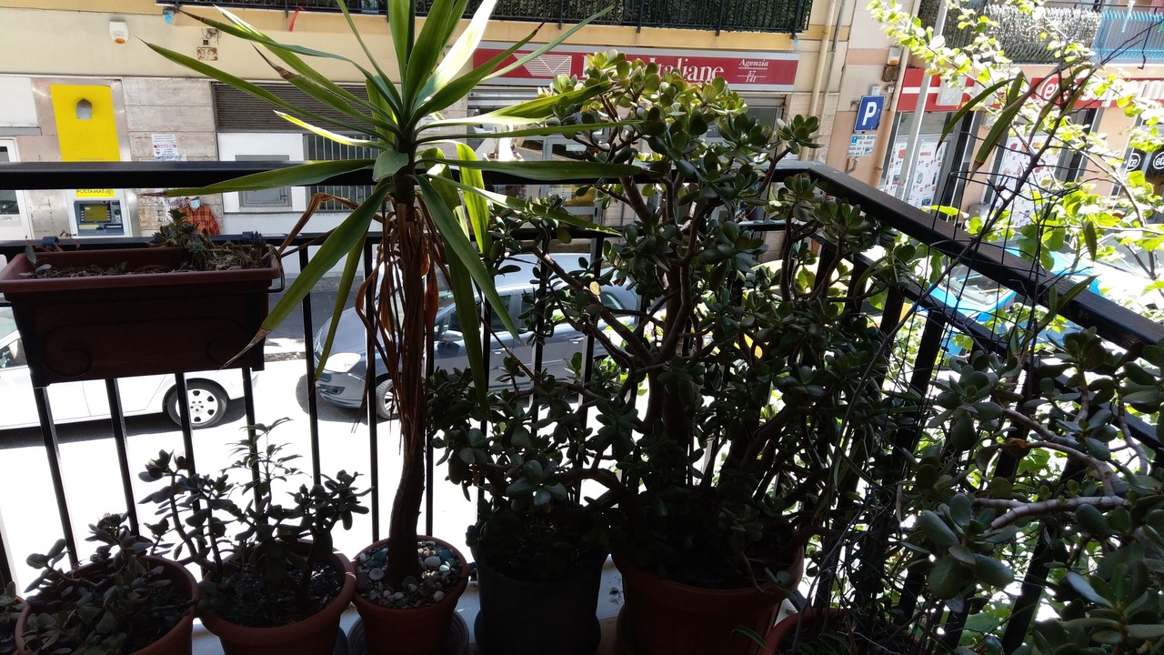 Photo of Outdoor in Salerno