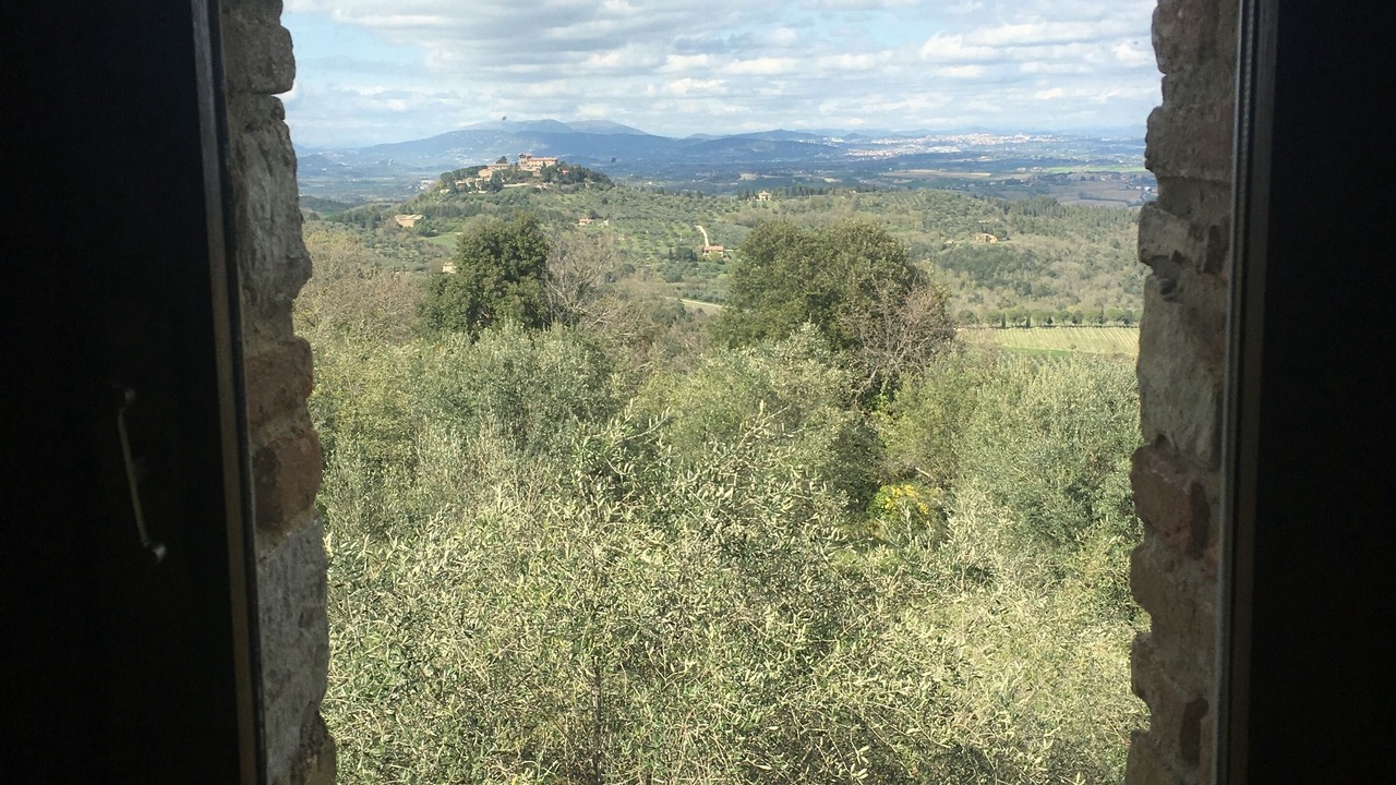 Photo of Others in Monte Vibiano Vecchio