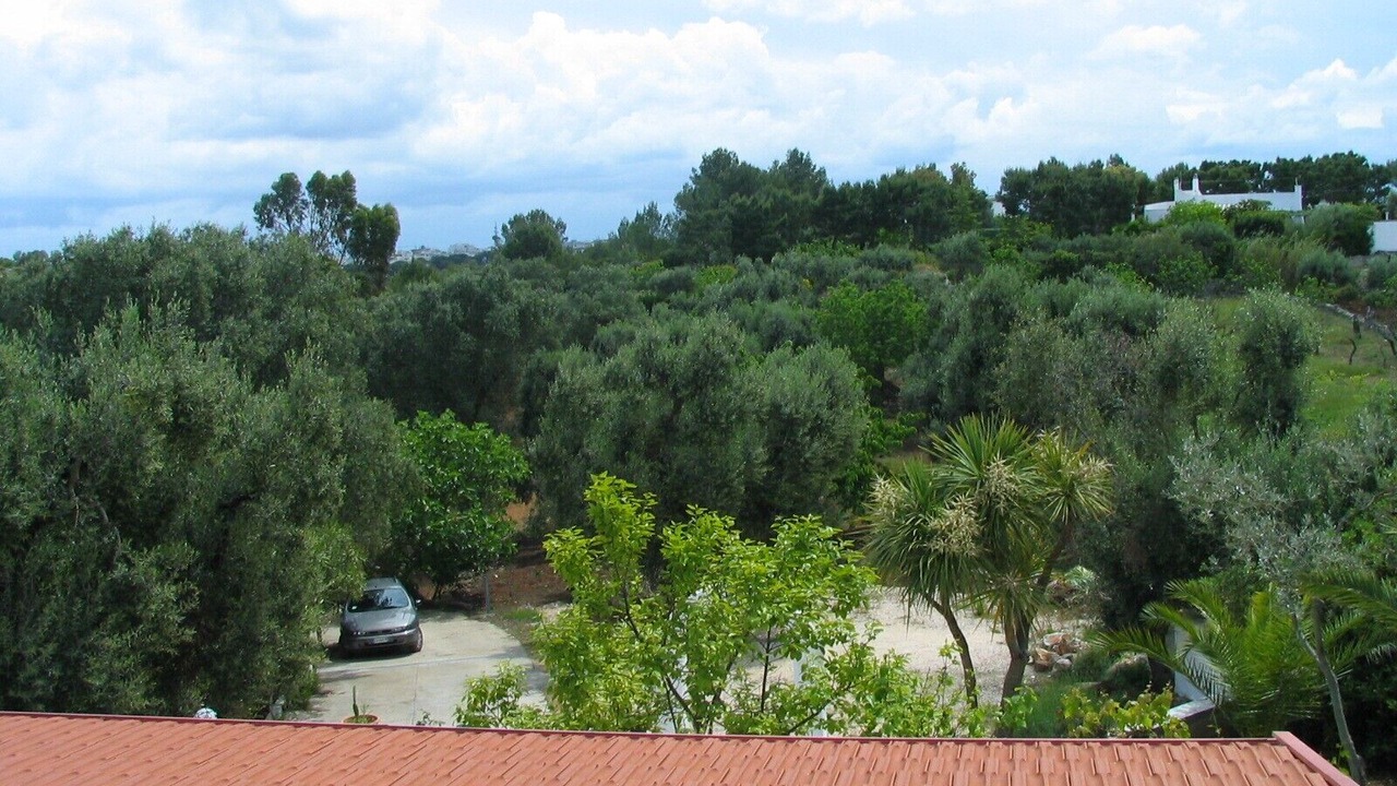 Photo of Others in Ostuni