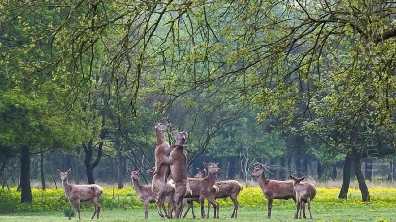 Photo of Others in Lido delle Nazioni