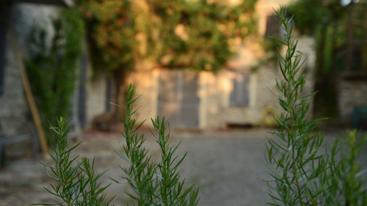 Photo of Outdoor in Bubbio