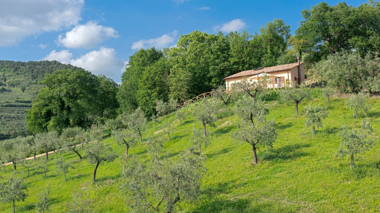 Photo of Outdoor in Spello