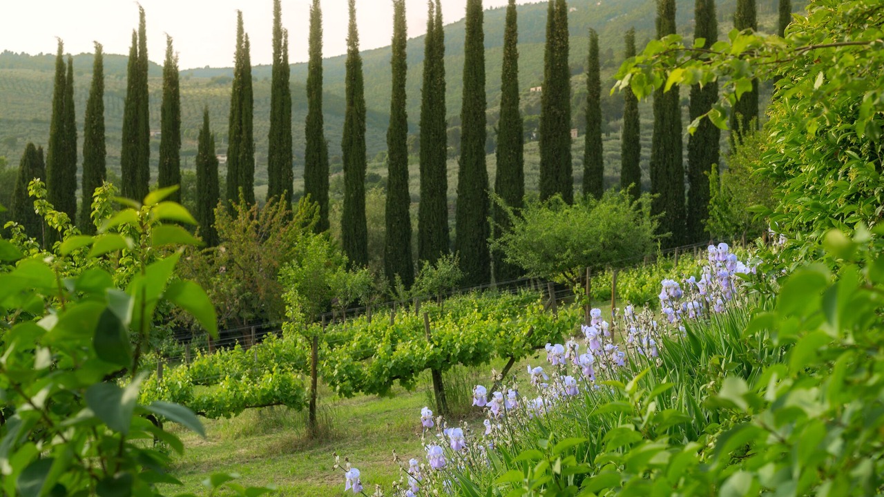 Photo of Outdoor in Spello