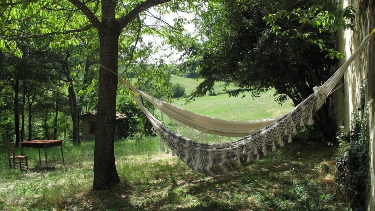 Photo of Others in Zocca
