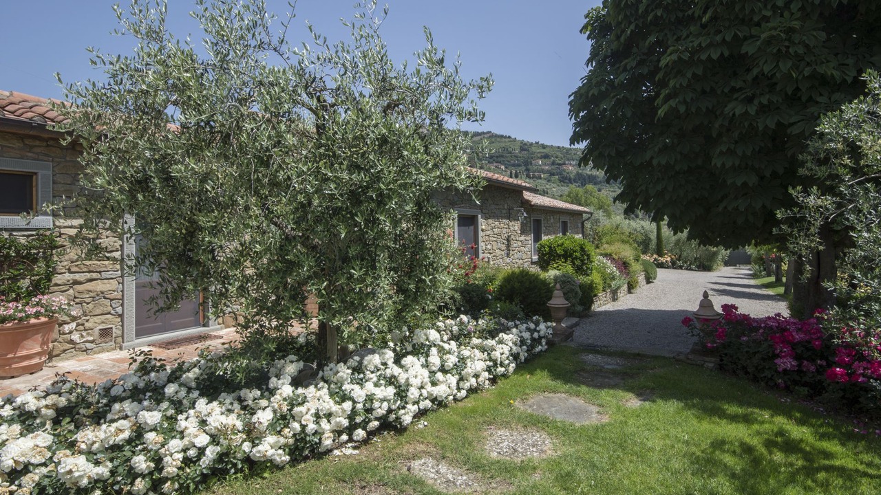 Photo of Outdoor in Camucia