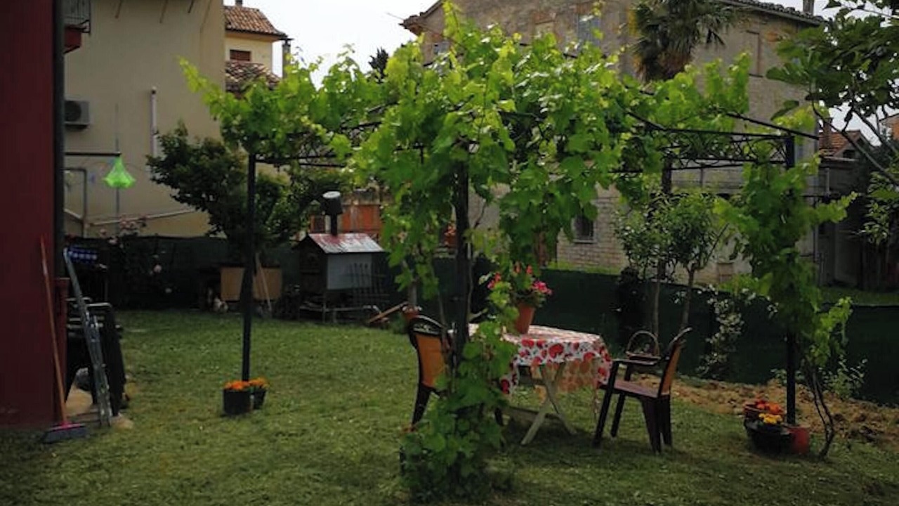 Photo of Outdoor in SantʼIppolito