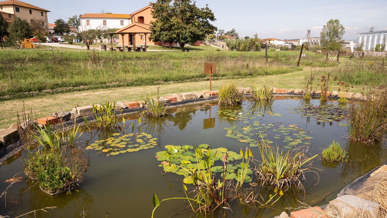 Photo of Others in Larciano