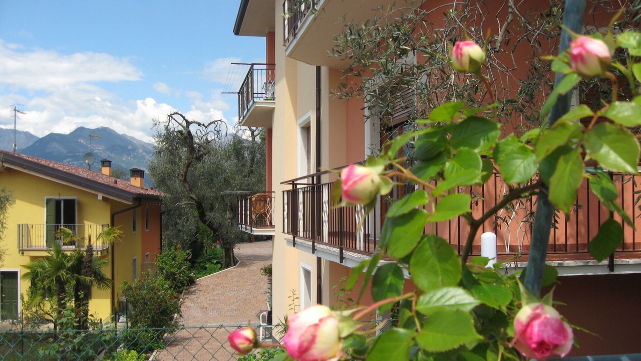 Photo of Outdoor in Assenza