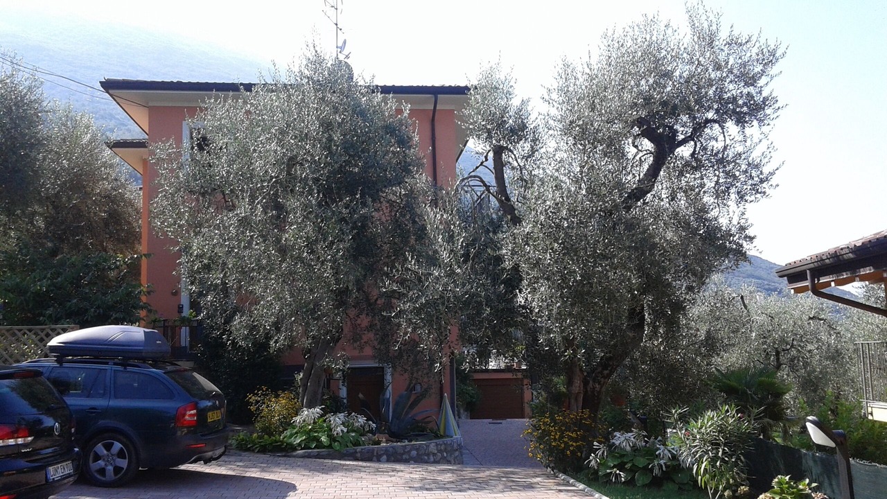 Photo of Outdoor in Assenza