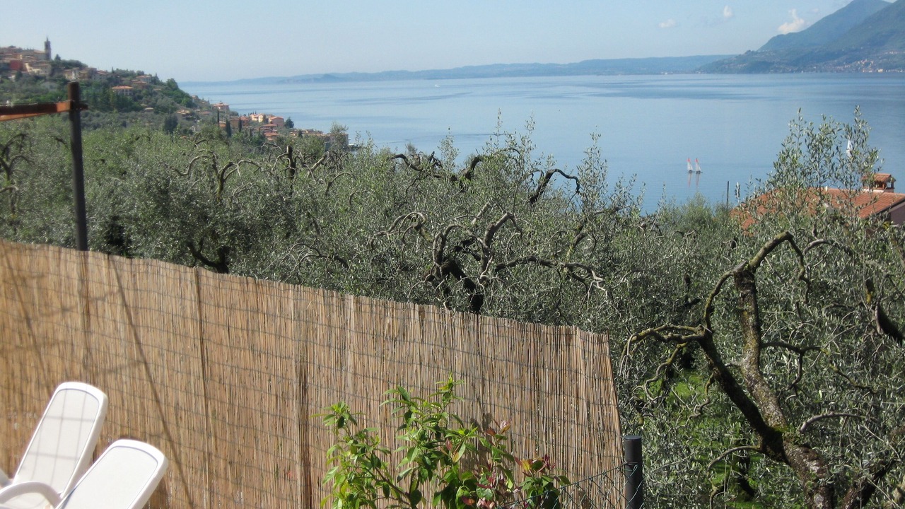 Photo of Outdoor in Assenza