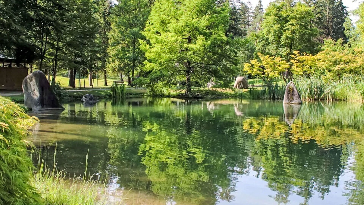 Photo of Others in Comano Terme