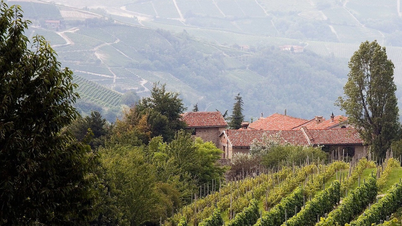 Photo of Others in Trezzo Tinella