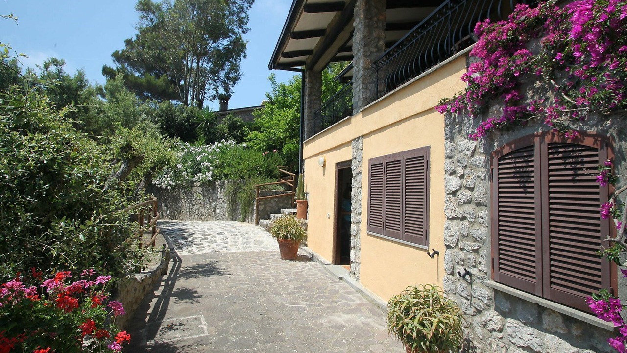 Photo of Others in Ansedonia
