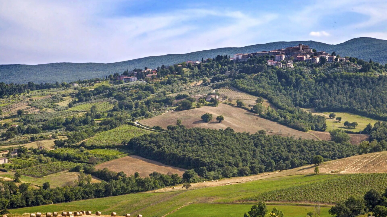 Photo of Others in Allerona
