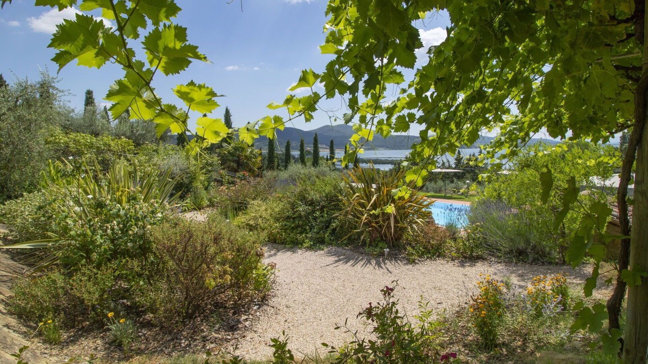 Photo of Others in Magione