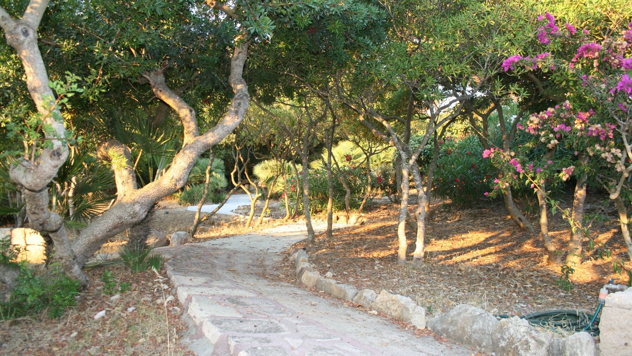 Photo of Outdoor in Alghero