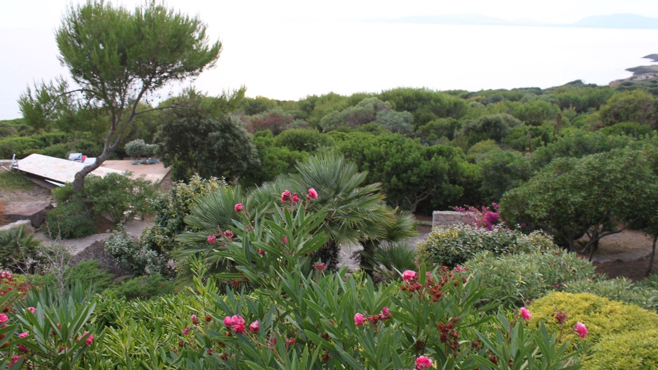 Photo of Outdoor in Alghero