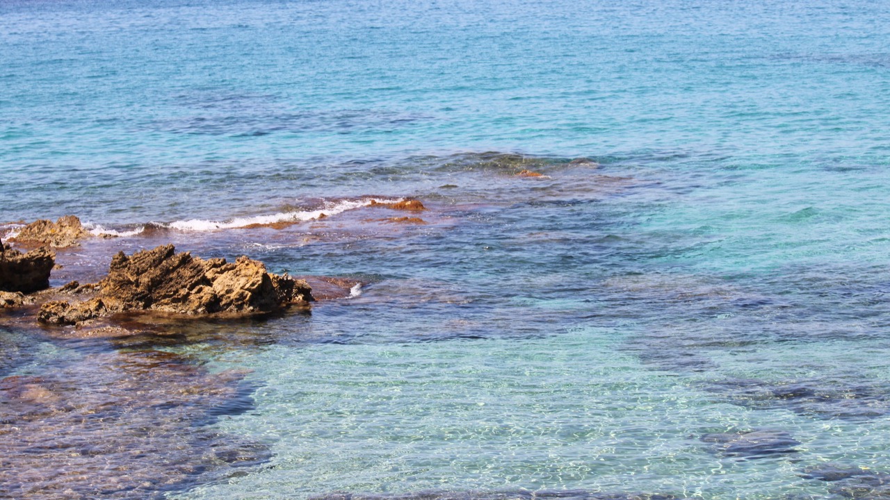 Photo of Others in Alghero