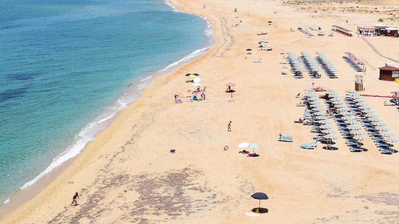 Photo of Others in Porto Alabe