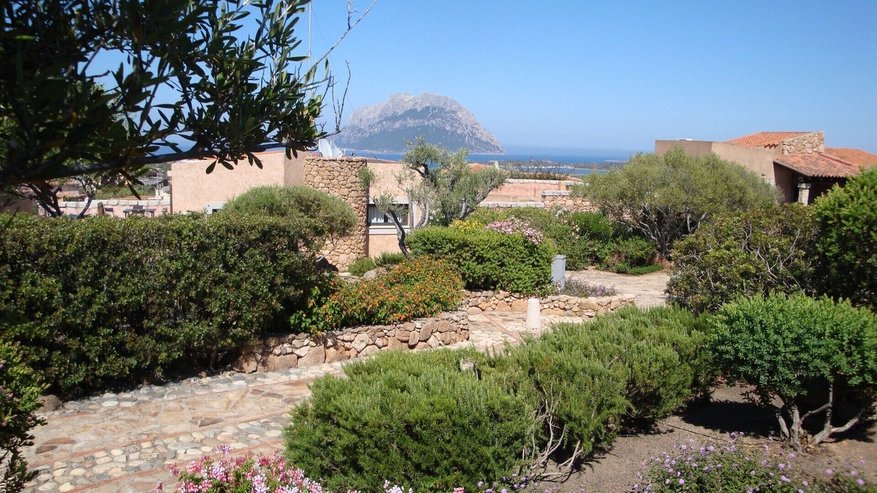 Photo of Outdoor in Porto San Paolo