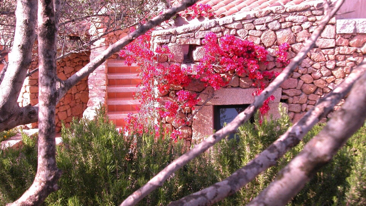 Photo of Outdoor in Porto San Paolo