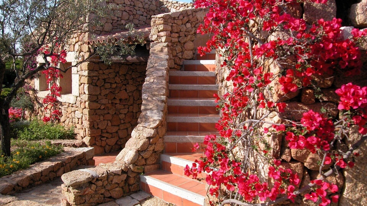 Photo of Outdoor in Porto San Paolo