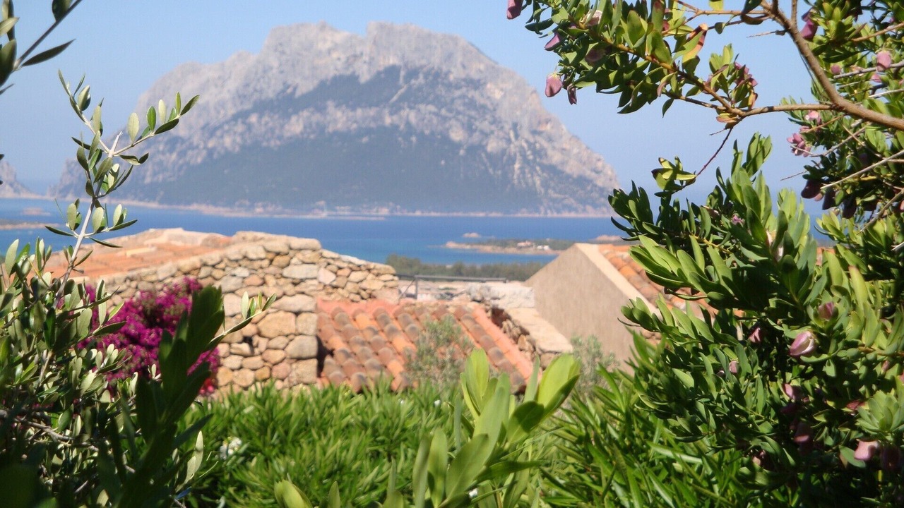 Photo of Outdoor in Porto San Paolo