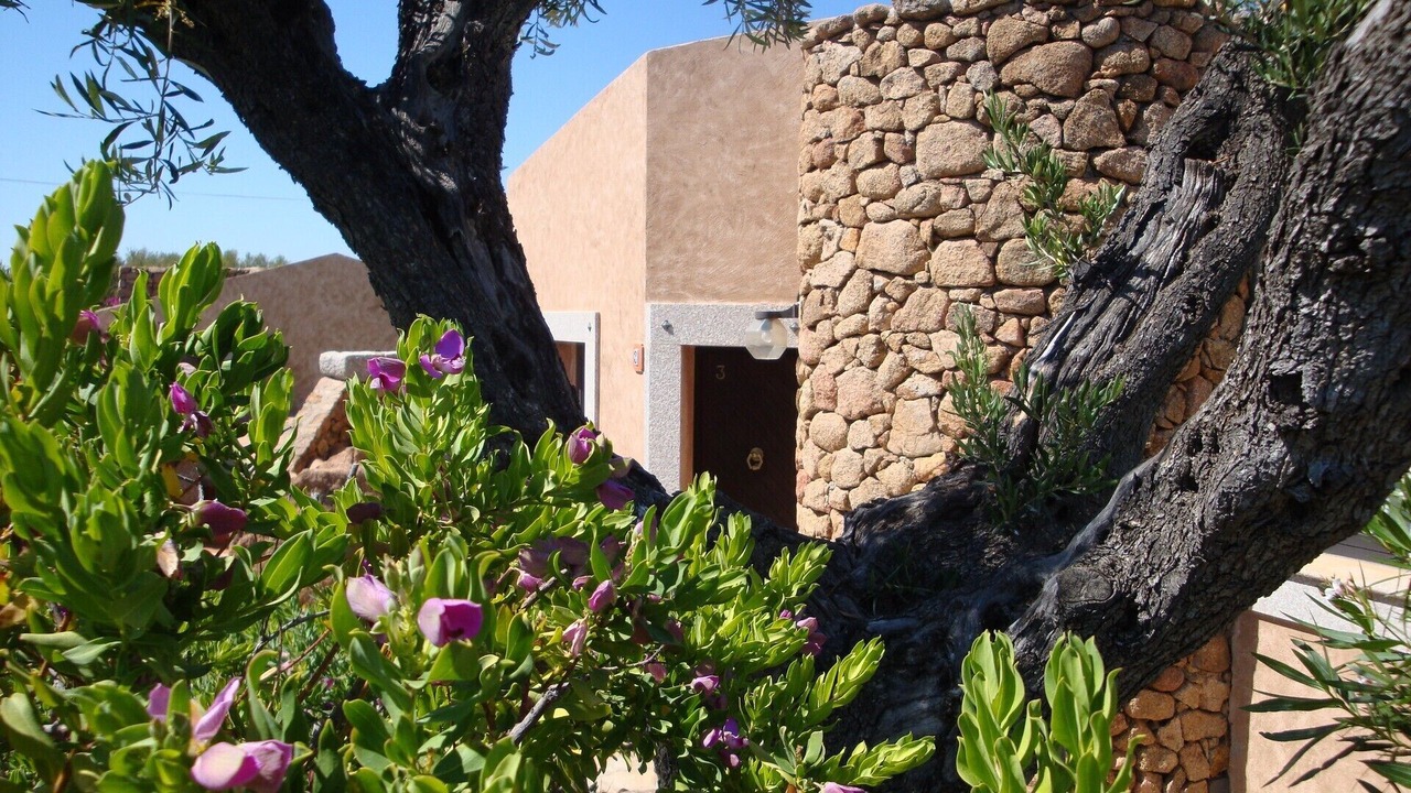 Photo of Outdoor in Porto San Paolo